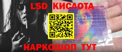 спайс Тара