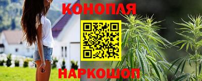 спайс Тара