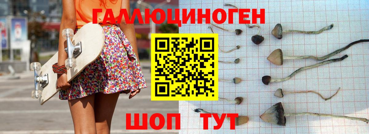 Тимашёвск  где можно купить   Псилоцибиновые грибы мухоморы  Вход с VPN  Галлюциногенные грибы мухоморы 
